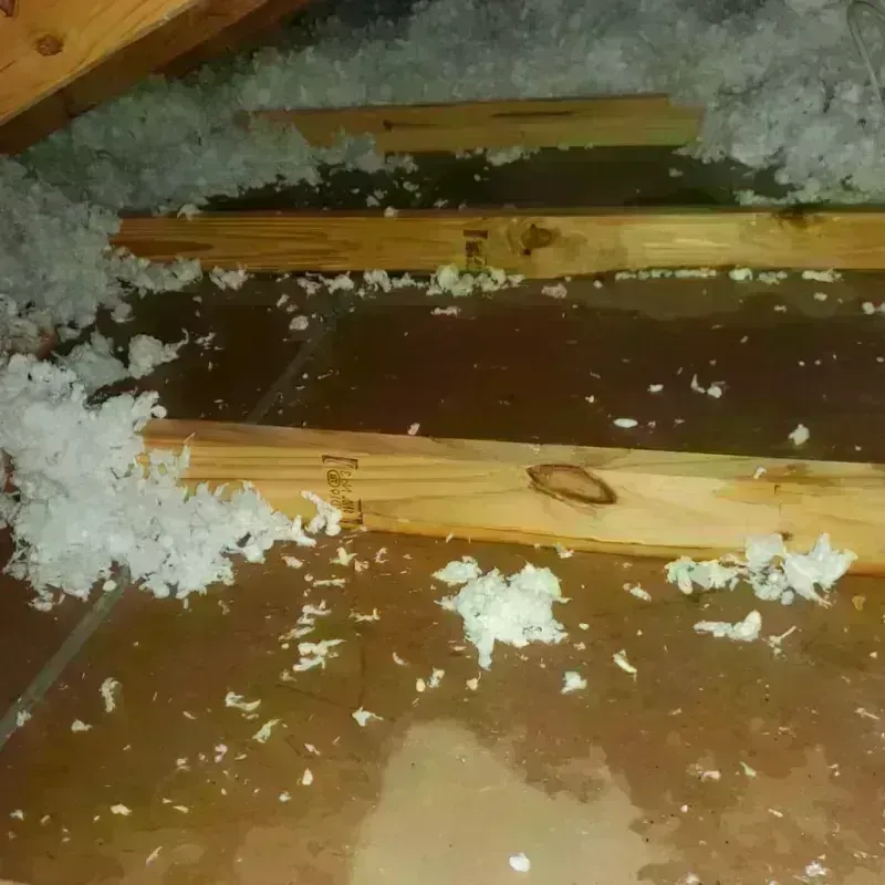 Attic Water Damage in El Cerrito, CA