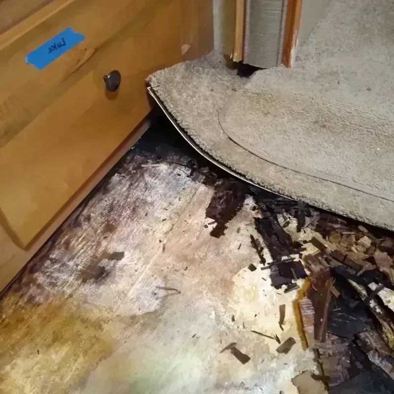 Wood Floor Water Damage in El Cerrito, CA